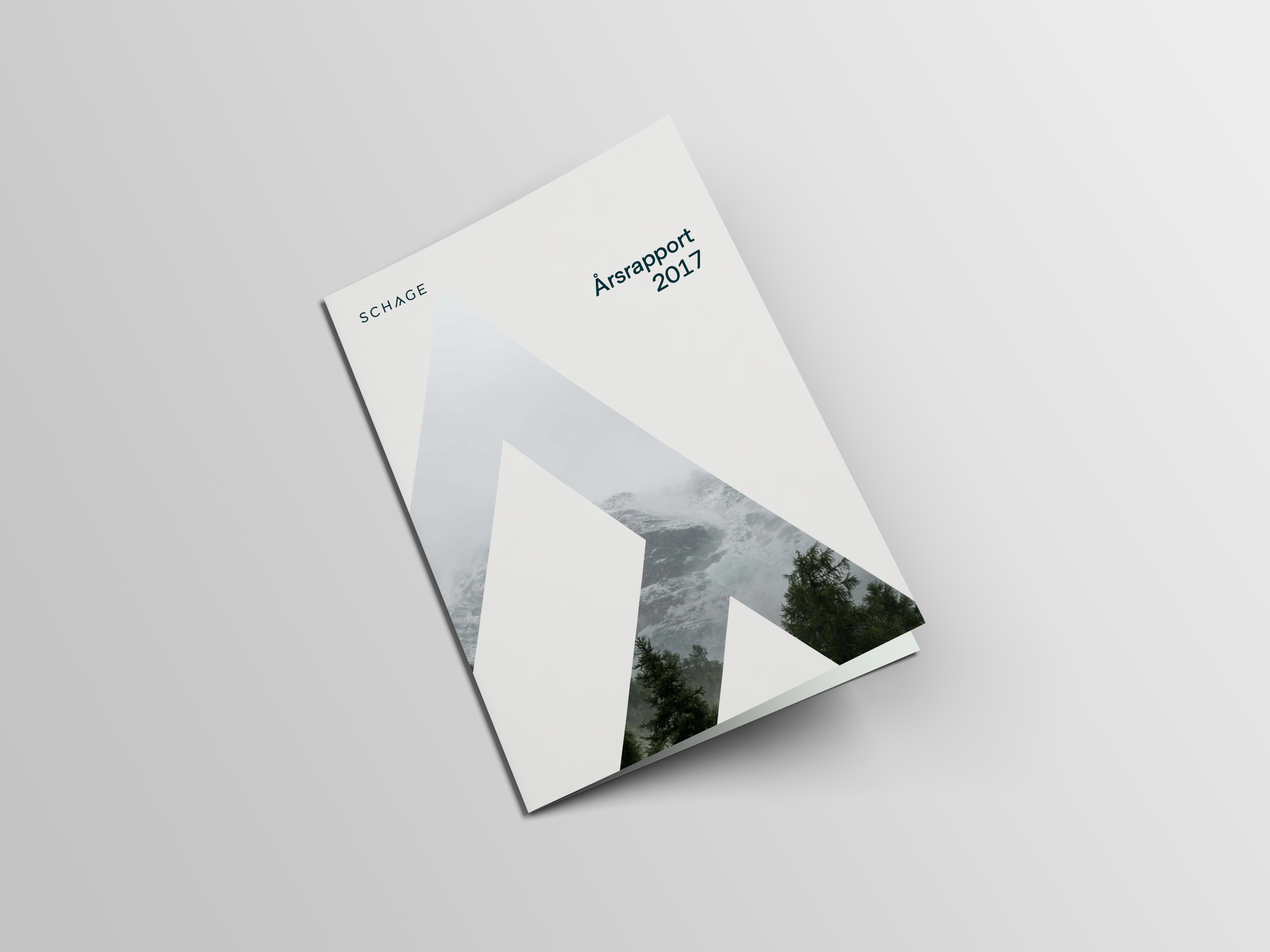 aarsrapport