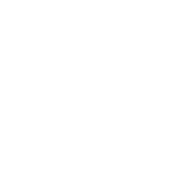 circle-white