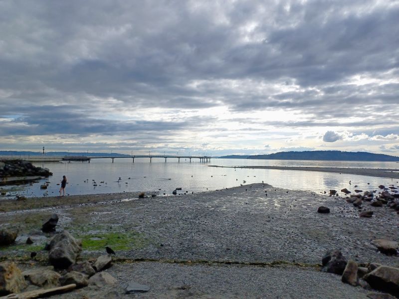 a wide view of Puget Sound