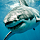 Sharkey profile picture