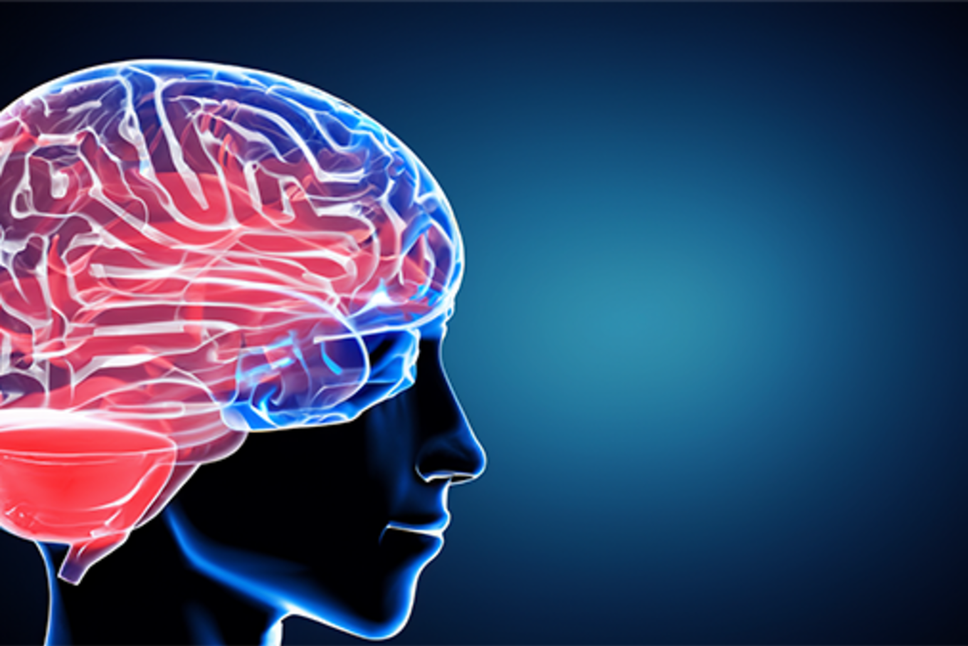 An AI-generated image a brain.