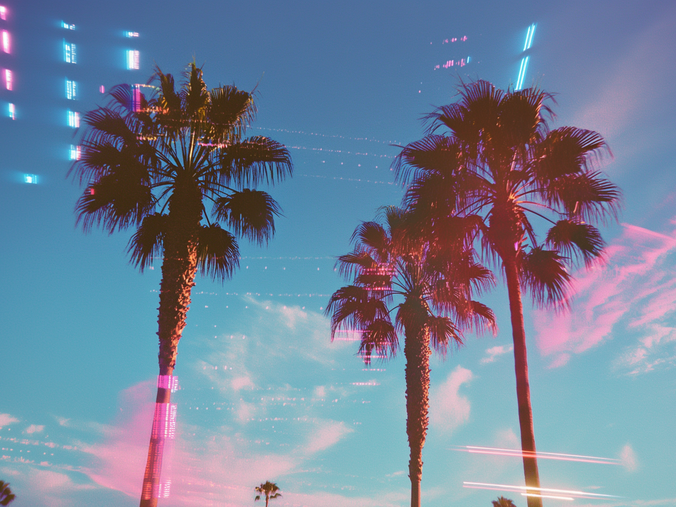 Two palm trees against a blue sky.