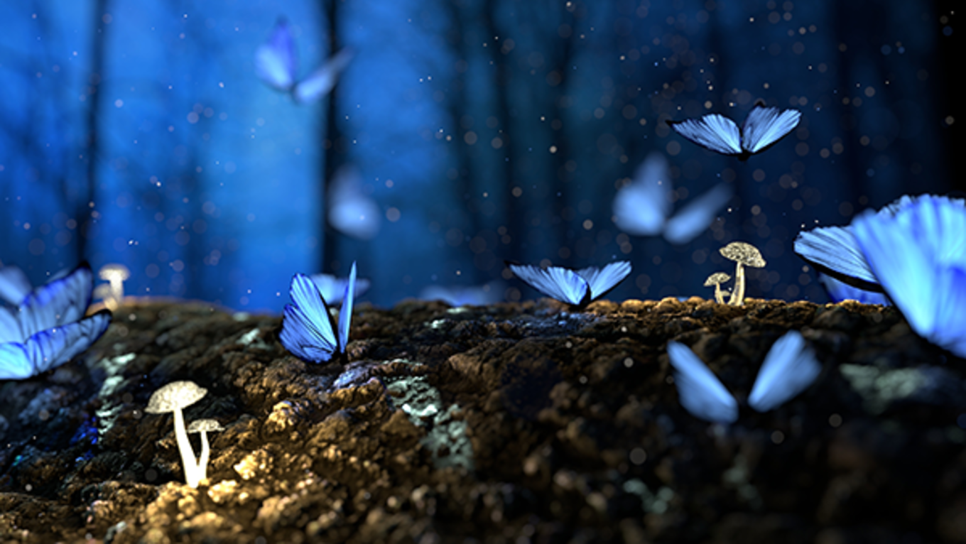 Glowing mushrooms in a dark wood.
