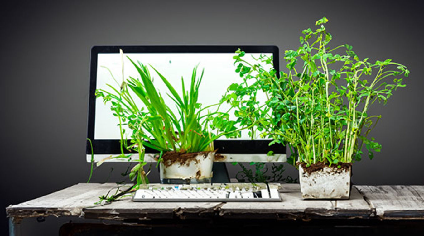 A computer that's worn out, old, and has plants growing out of it.