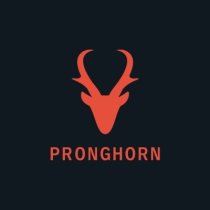 Pronghorn