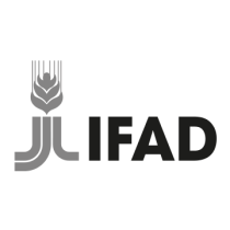 IFAD