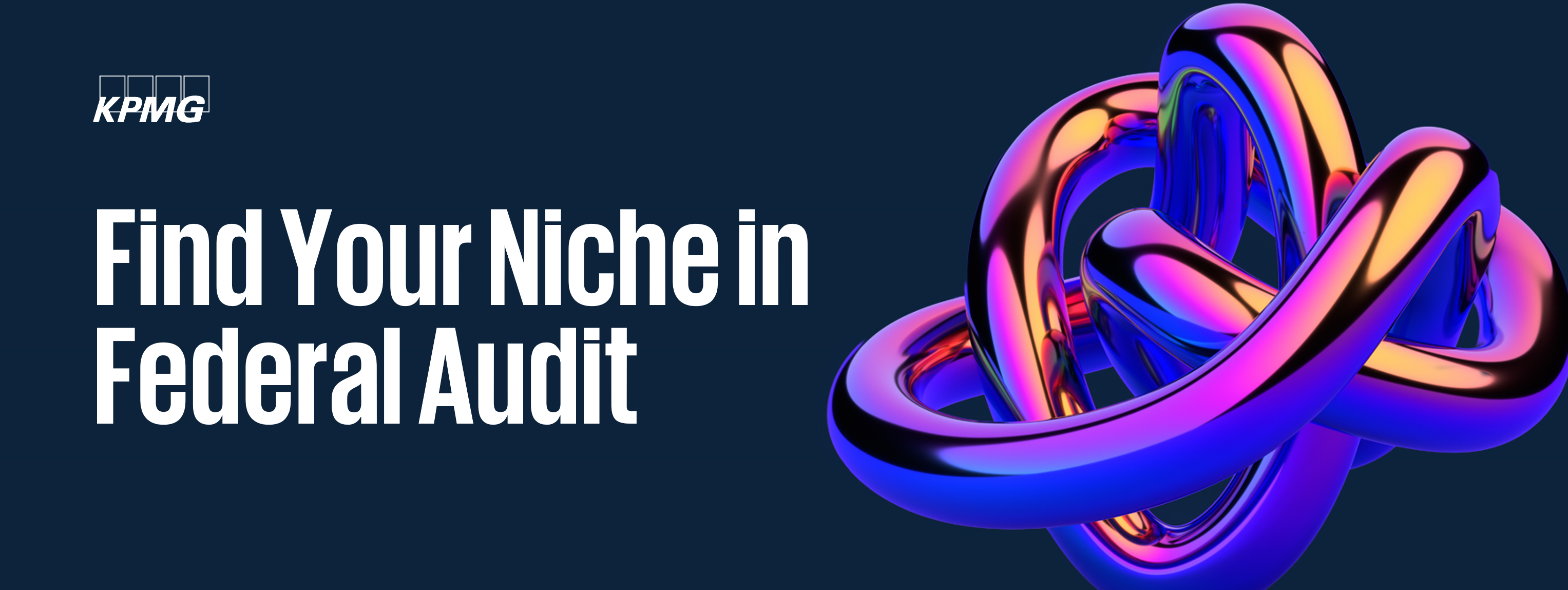 Find Your Niche in Federal Audit