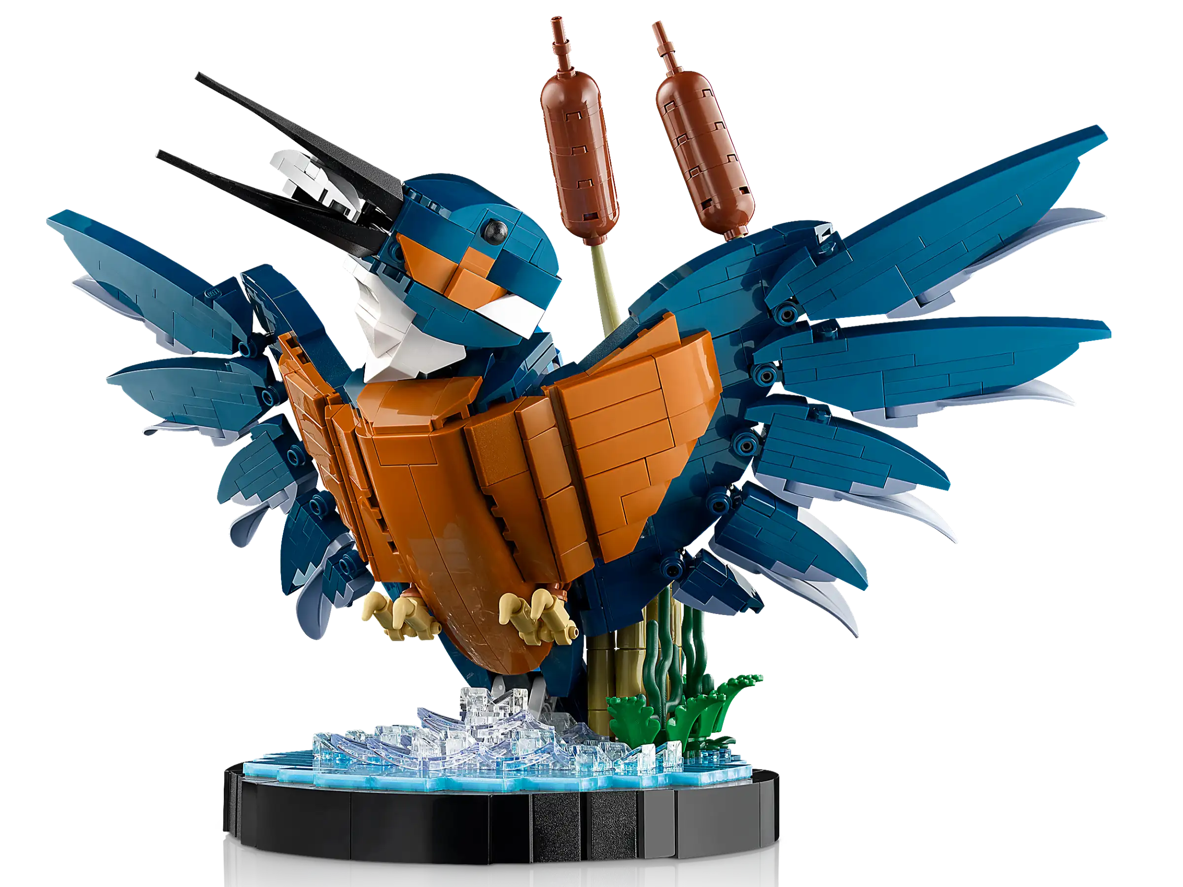 Kingfisher Bird (#10331) is now tracking