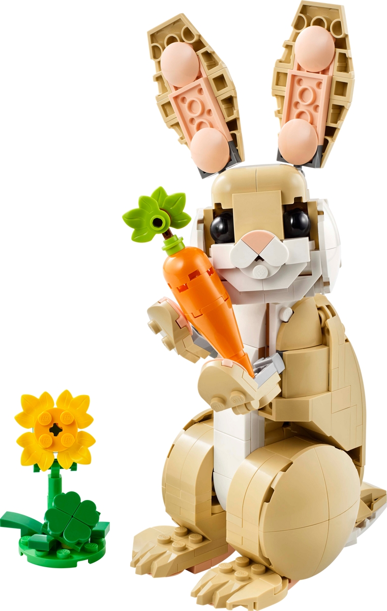 Cute Bunny