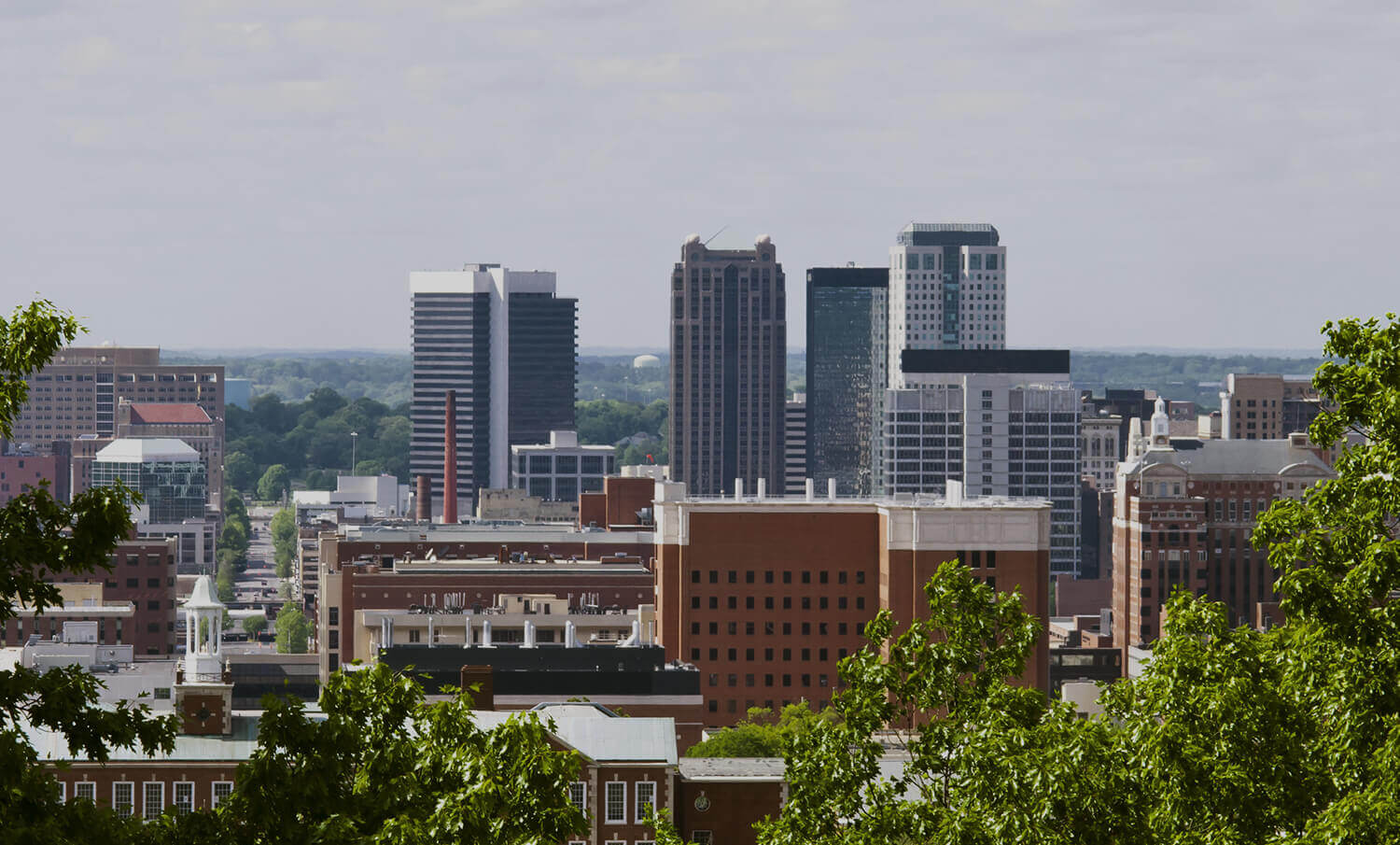 black and white panorama of buildings and trees in Birmginham, AL