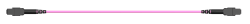 MB12_MTMM_MTMF_O420y_03.0_LL