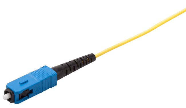FSC-CMAX-H101_100-P