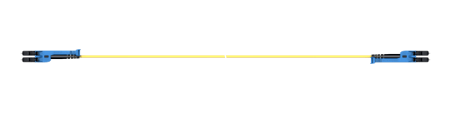 PCRS_LCUX_LCUX_A221T_05.5_SS