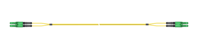 PCDS_LCAP_LCAP_A217E_01.0_SS