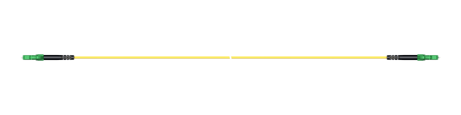 PC01_LCAS_LCAS_A220E_01.0_SS