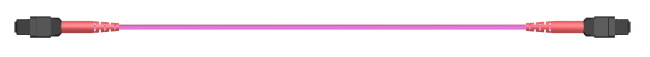 MA24_MTMM_MTMM_O430y_40.0_LL