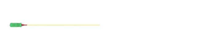 PT01_SC9S_0000_SM09E_02.5_B0