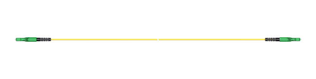 PC01_LCAE_LCAE_A220E_02.0_SS