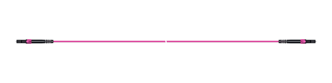 PC01_LCMS_LCMS_O420E_02.0_LL