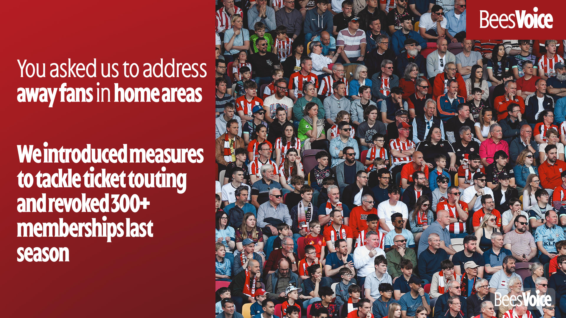 BeesVoice away fans in home areas