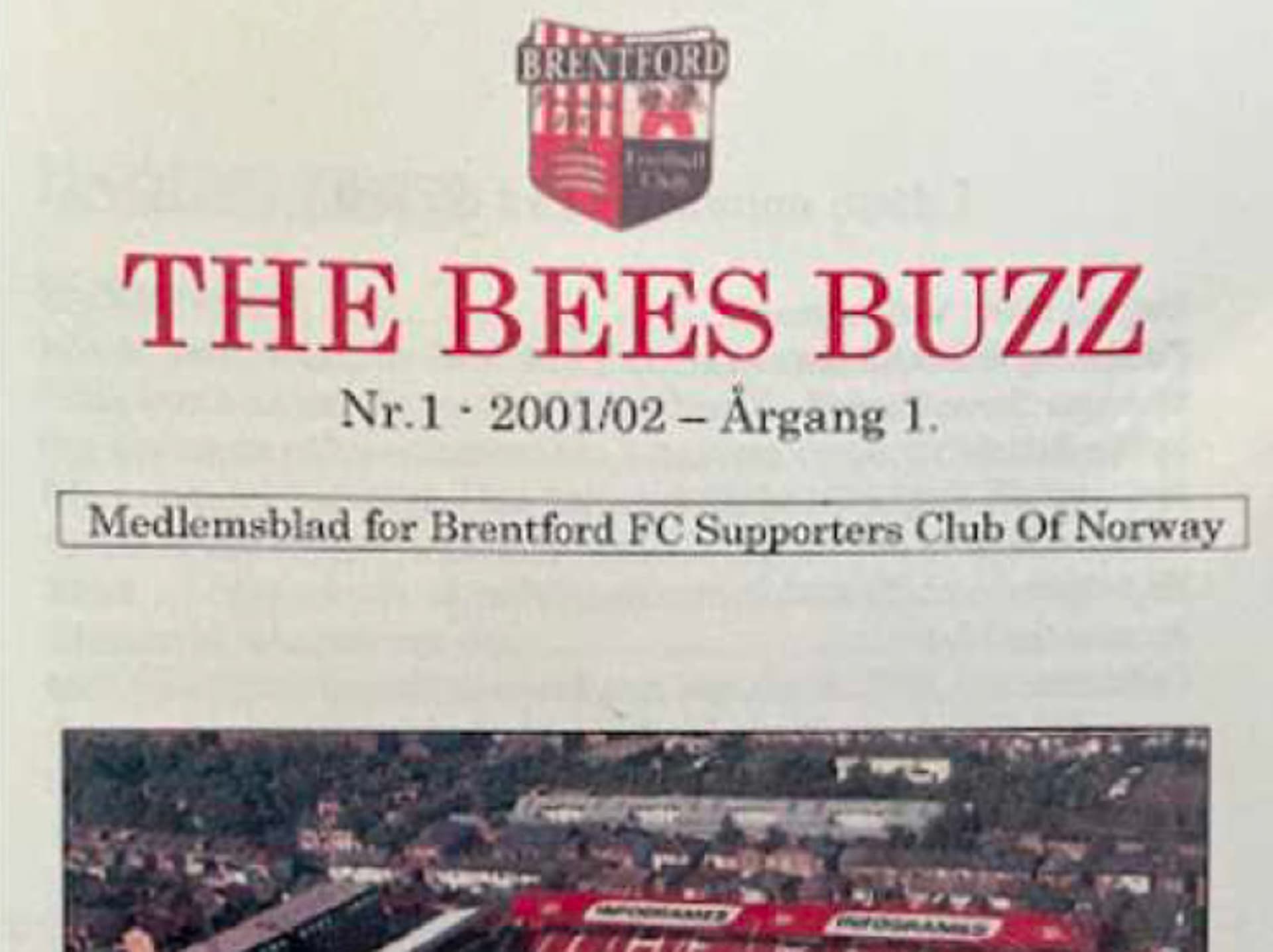 The Bees Buzz Norway fanzine