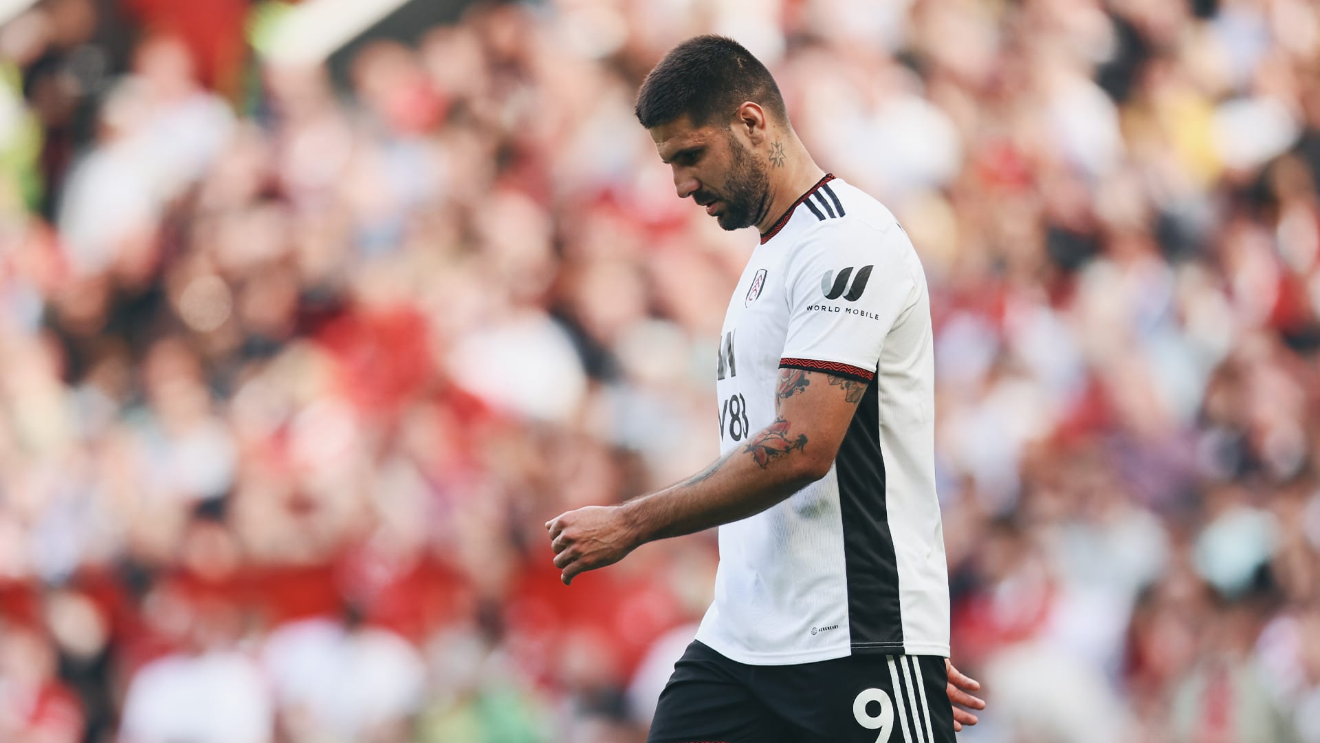 Mitrović