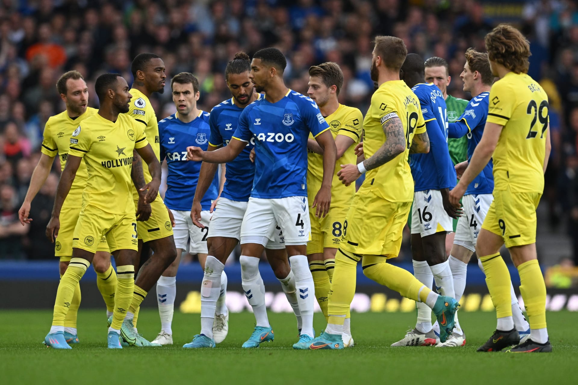 Brentford v Everton
