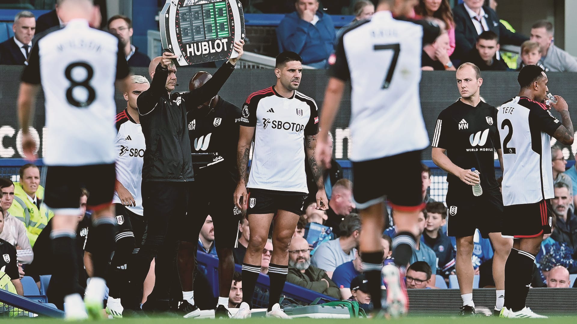 Mitrovic (Fulham match preview embed)