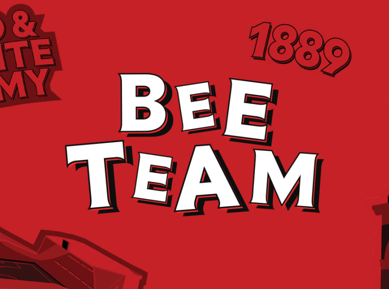 Bee Team