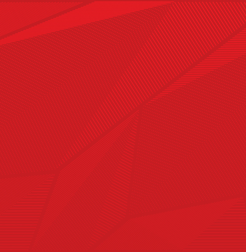 BFC_WING_Pattern-02_qy7zhf