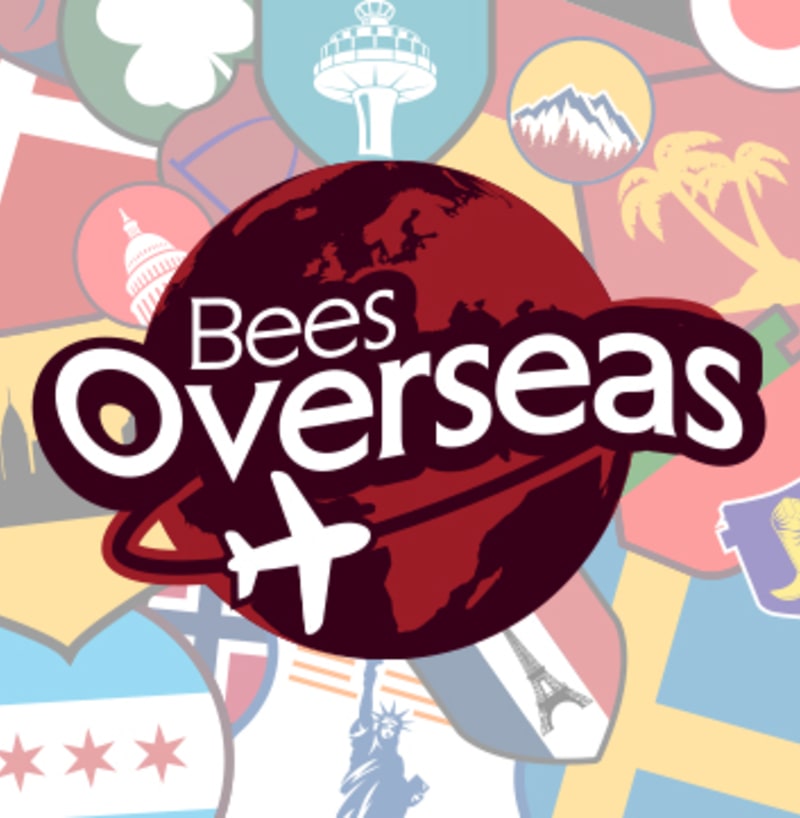 BeesOverseasPromo_djomy1