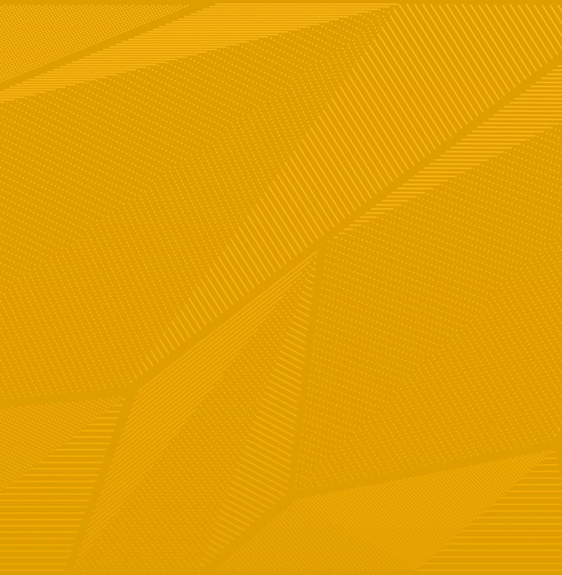 CST_WING_Pattern-YouthProject_o5syo3