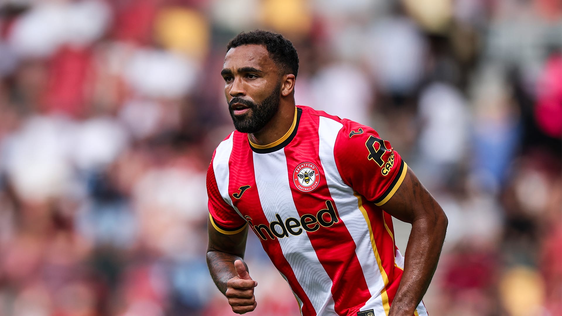 Callum Wilson - Brentford