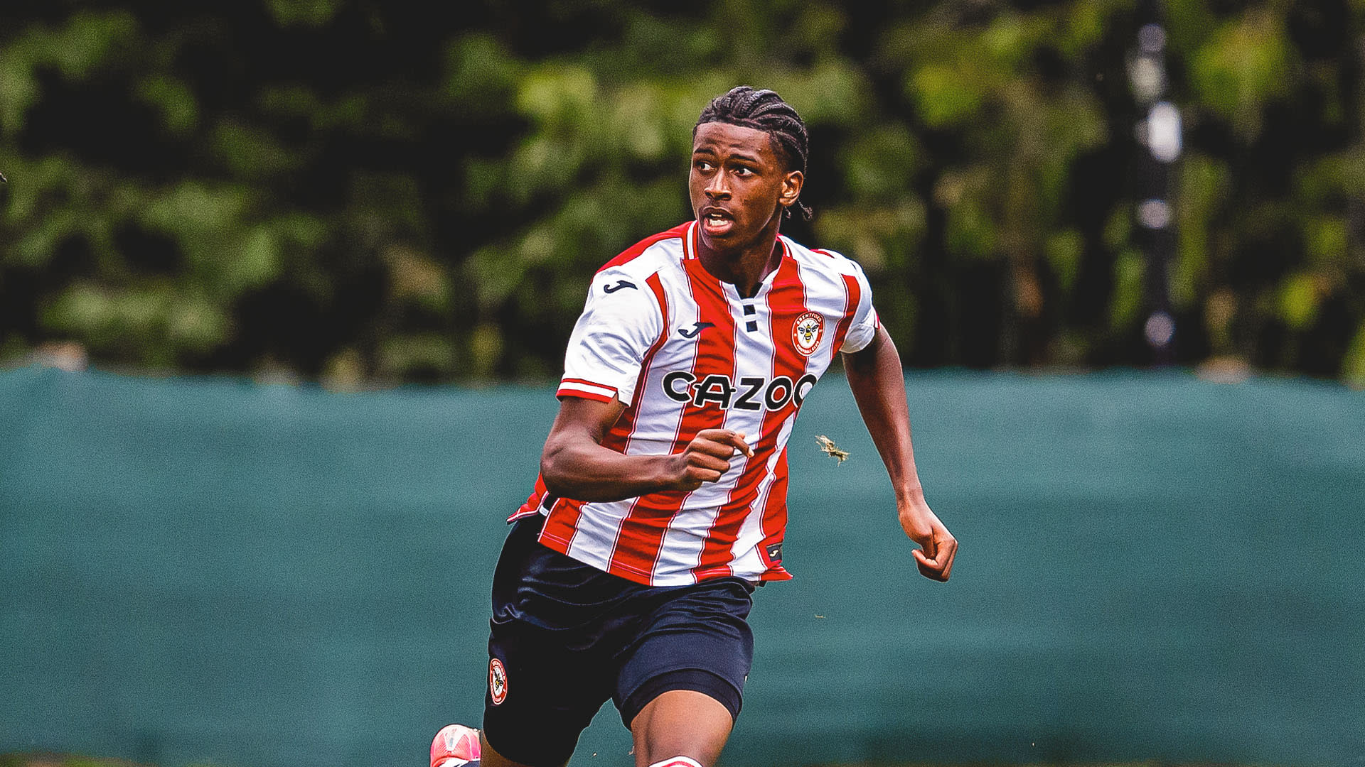 Domeiro Bobb-Semple