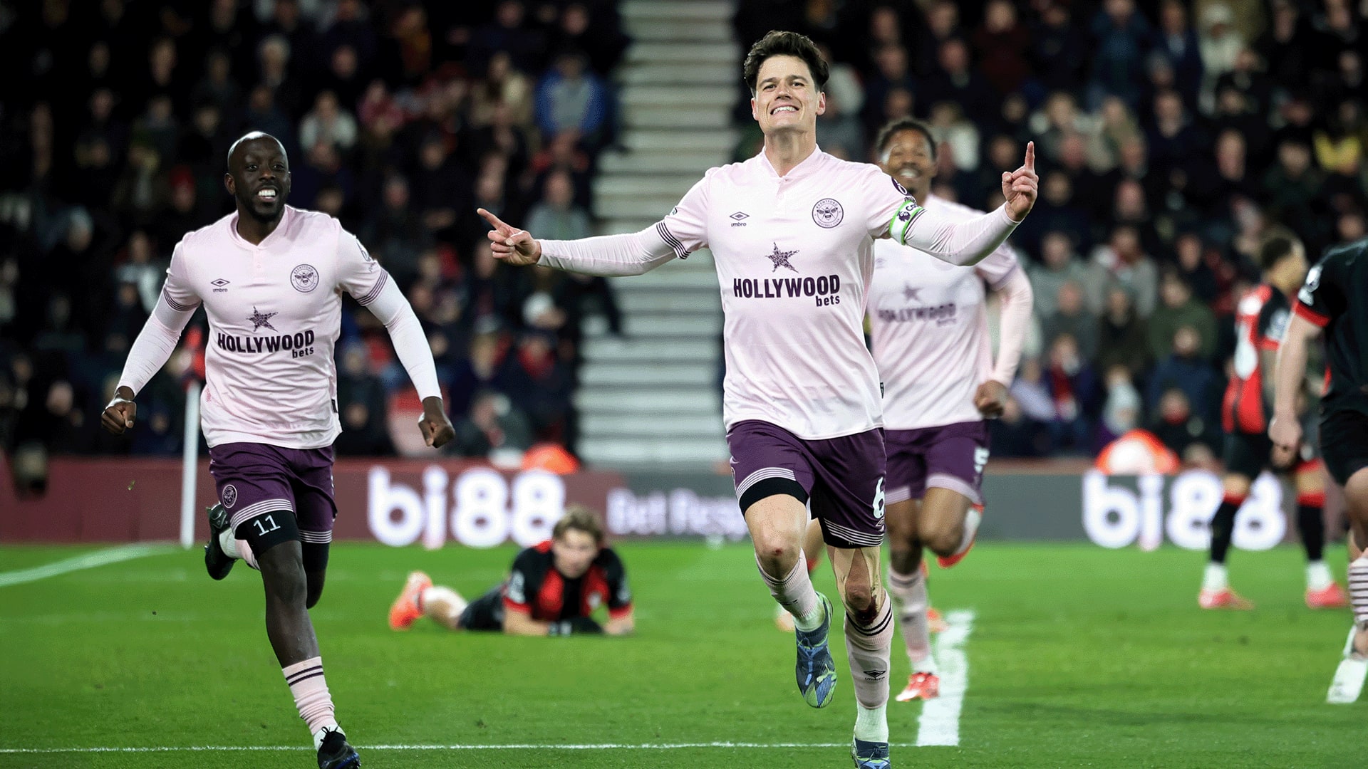 Forest (A) On sale Header