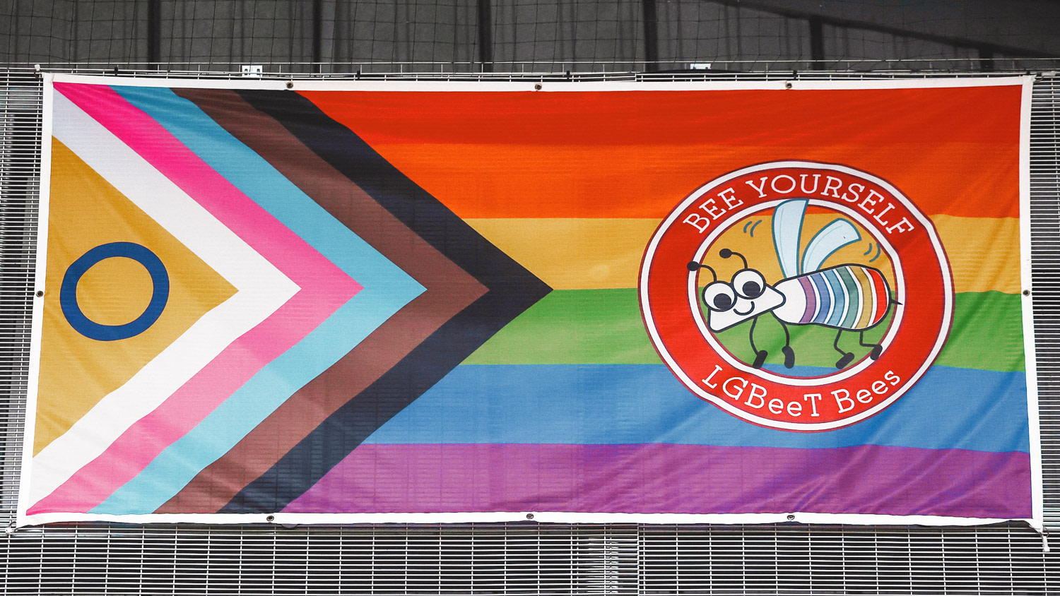 LGBTQ+ History Month - LGBeeTs Flag