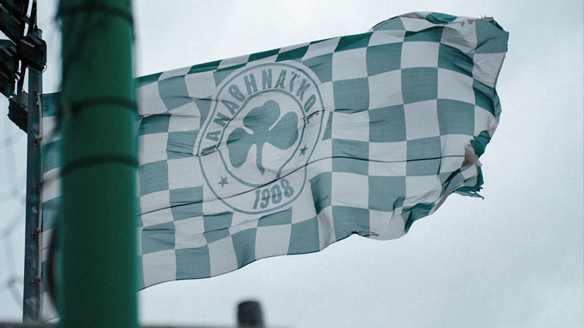 Panathinaikos_mosbzg