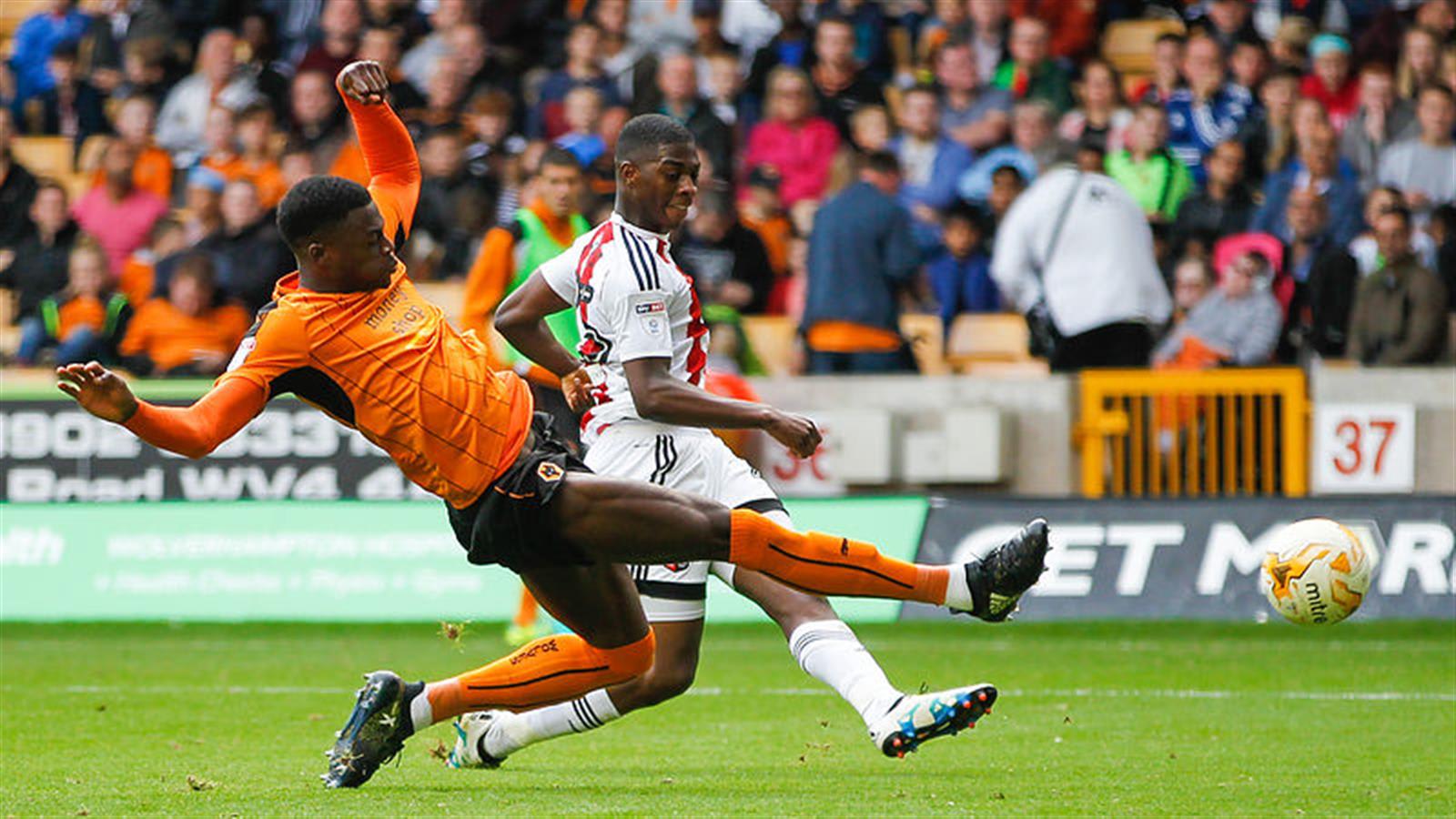 Wolverhampton Wanderers v Brentford pictures