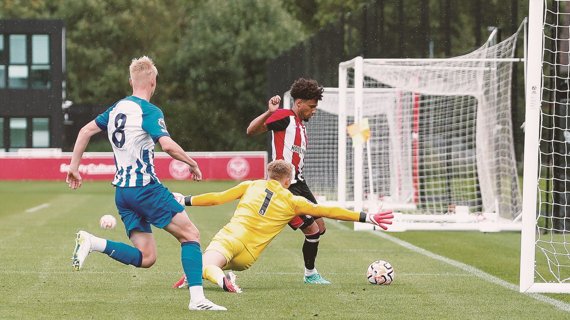Kevin Schade v Brighton BCD (match report hero)