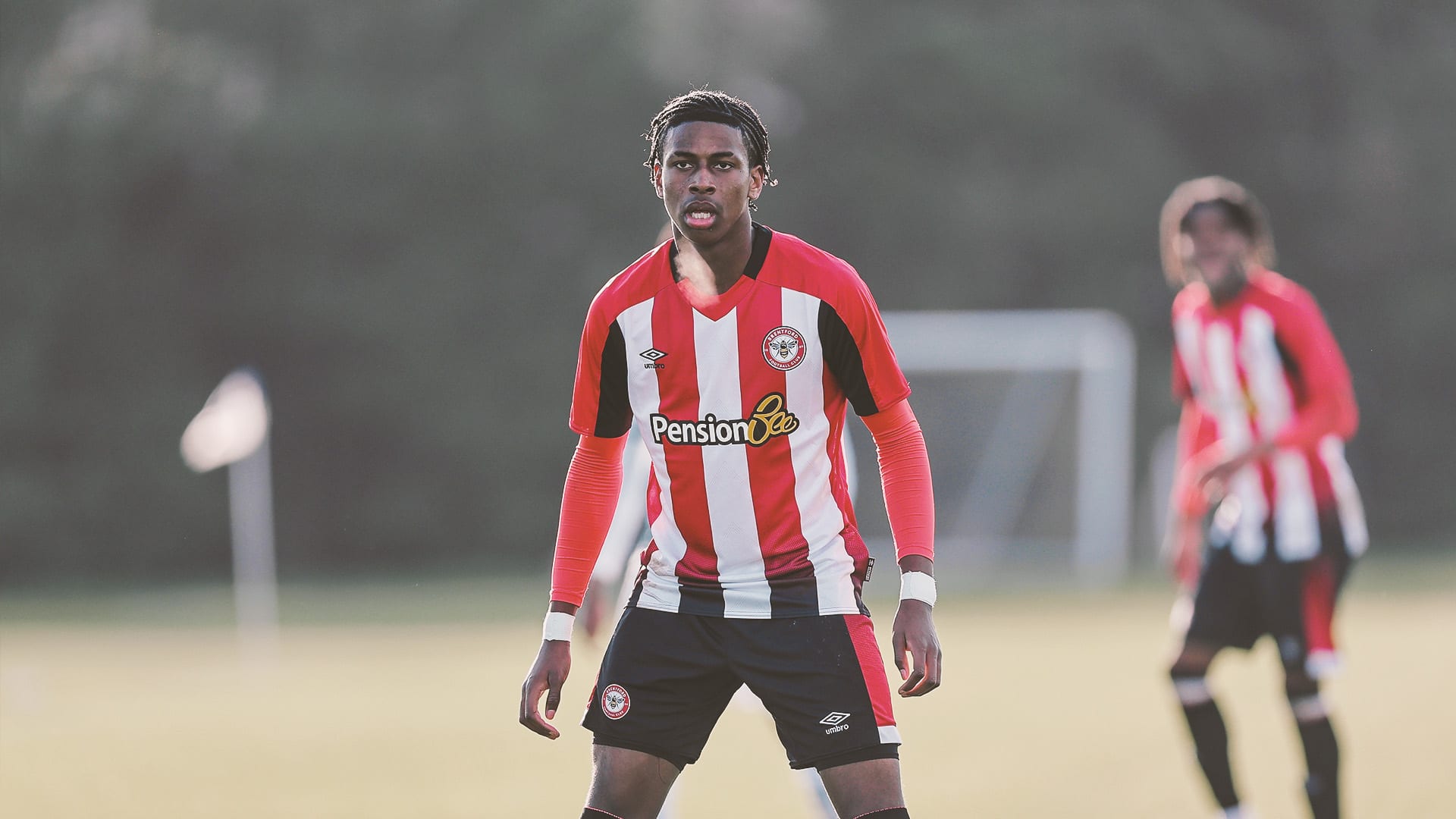 Domeiro Bobb-Semple
