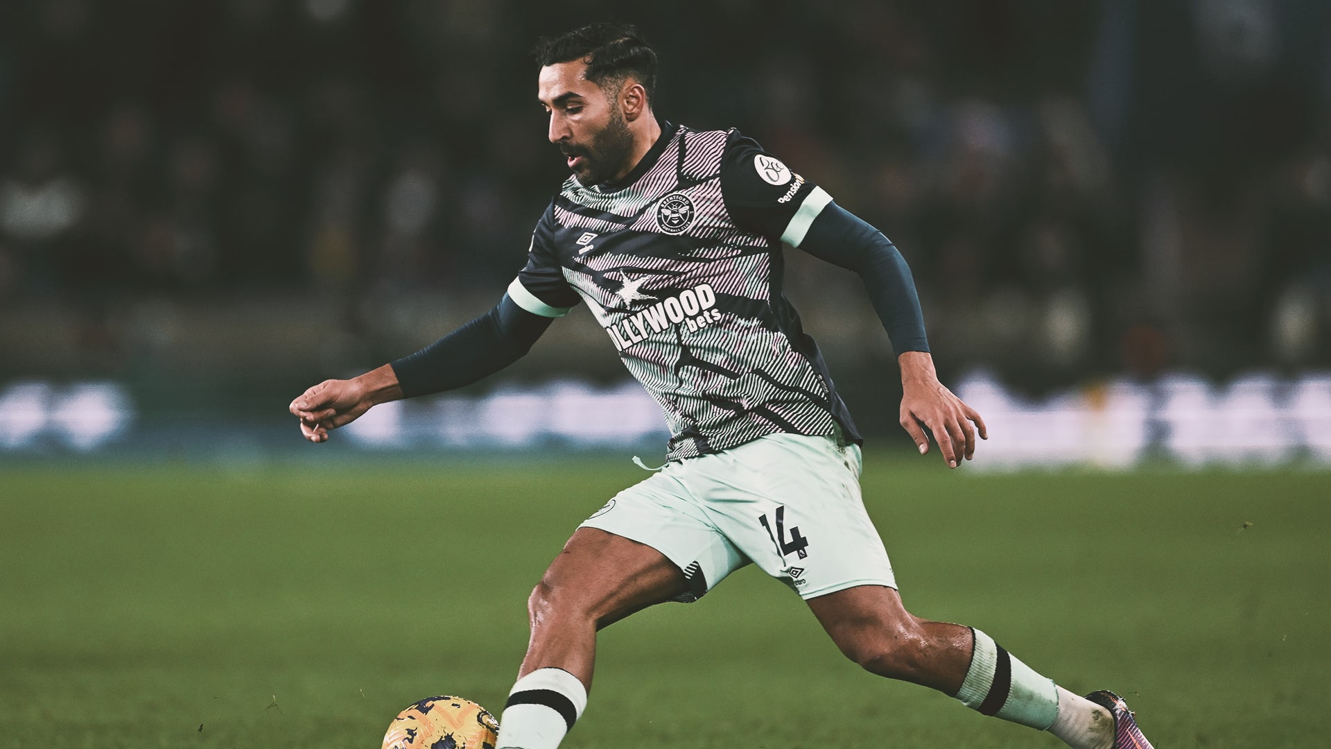 Saman Ghoddos (analysis hero)