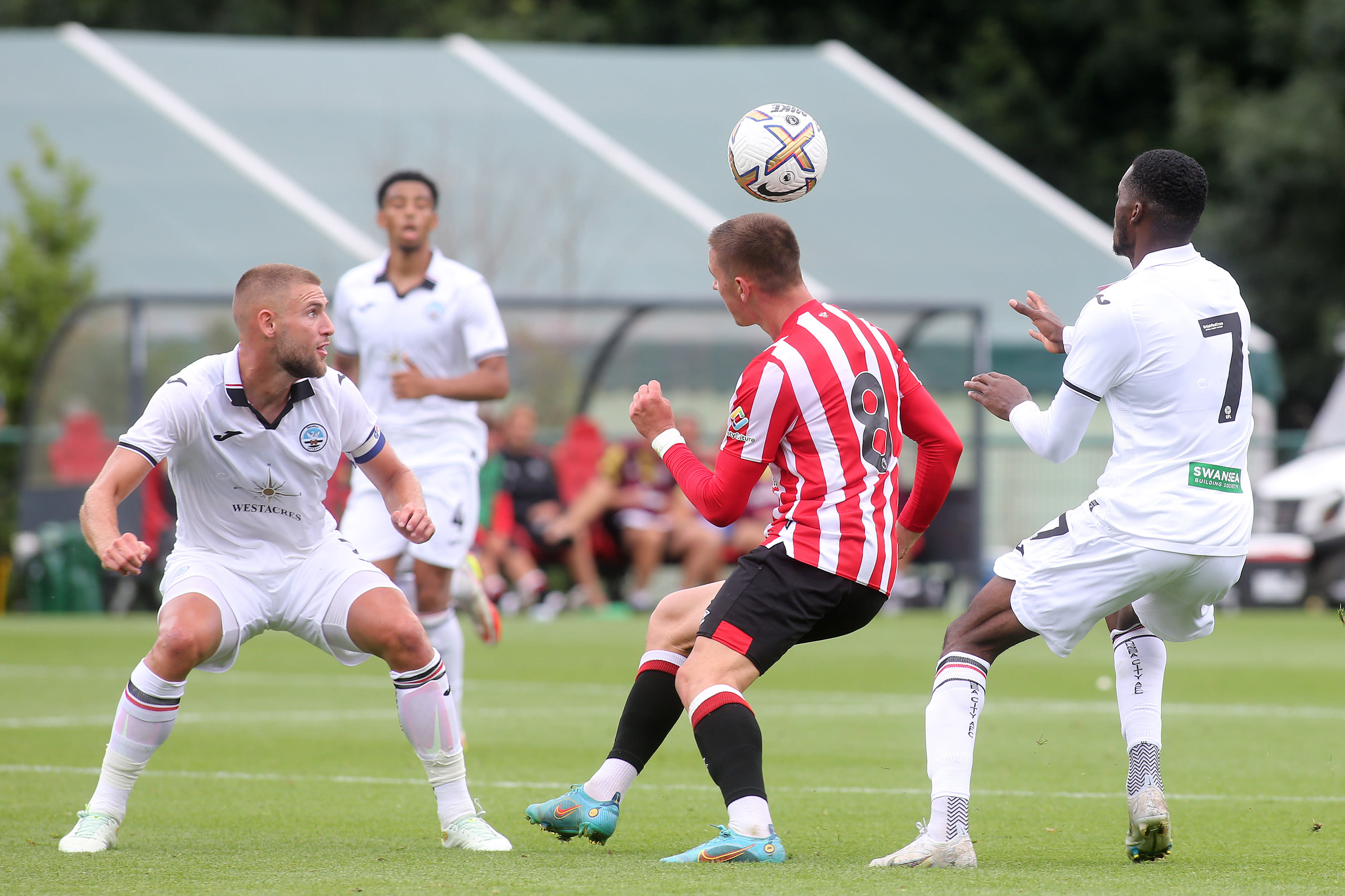 Yehor Yarmoliuk battles against The Swans