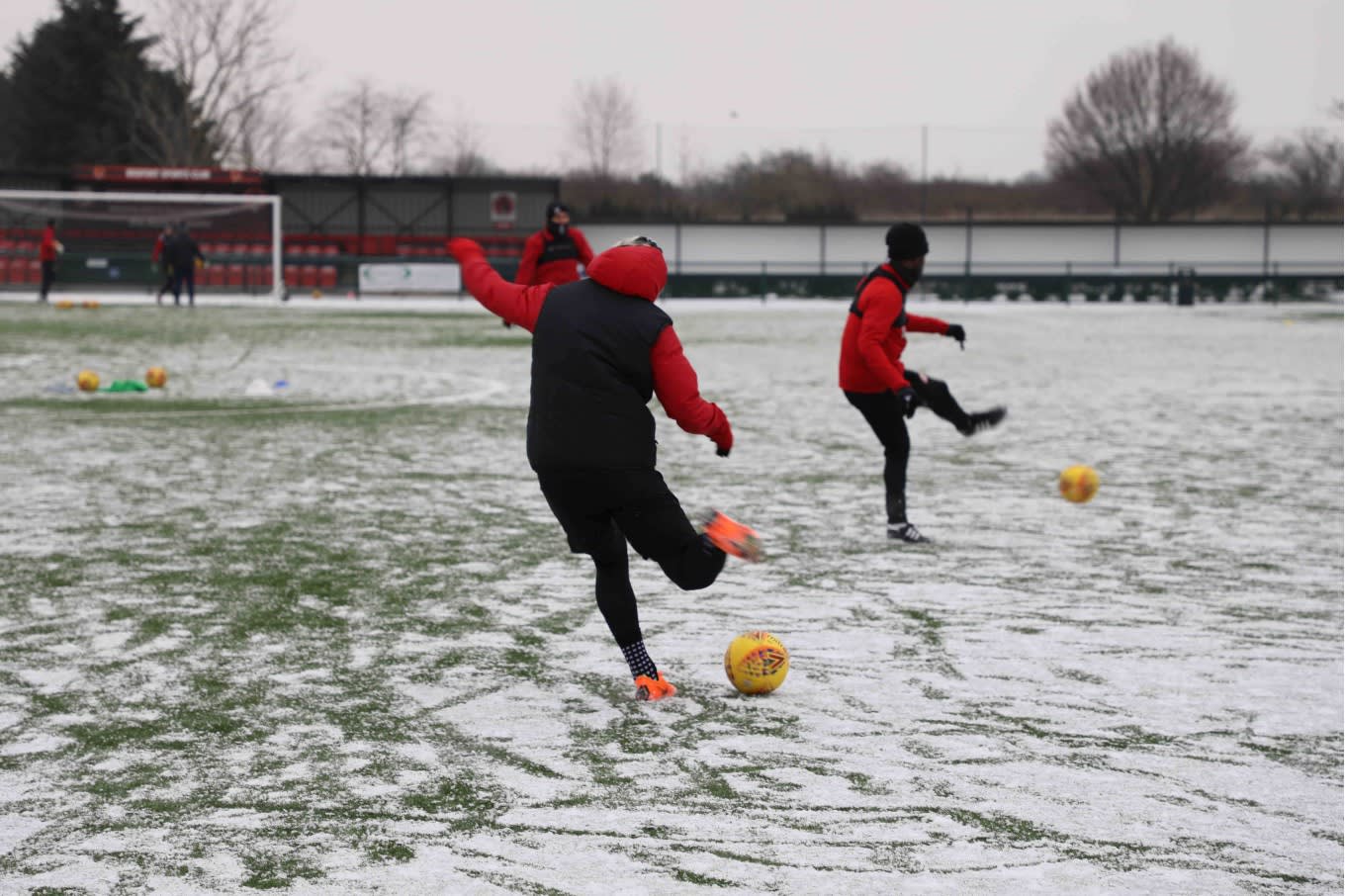 Bees out in Training