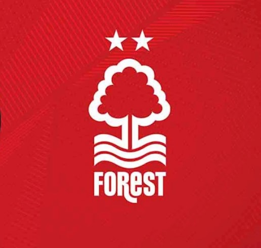 Match Preview: Brentford vs Nottingham Forest