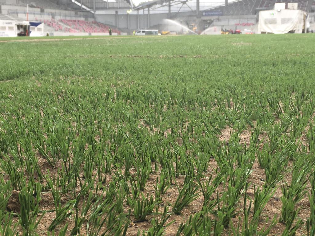 https://www.brentfordfc.com/siteassets/images/community-stadium/20190831---pitch/photo-2019-08-29-09-35-18-3.jpg