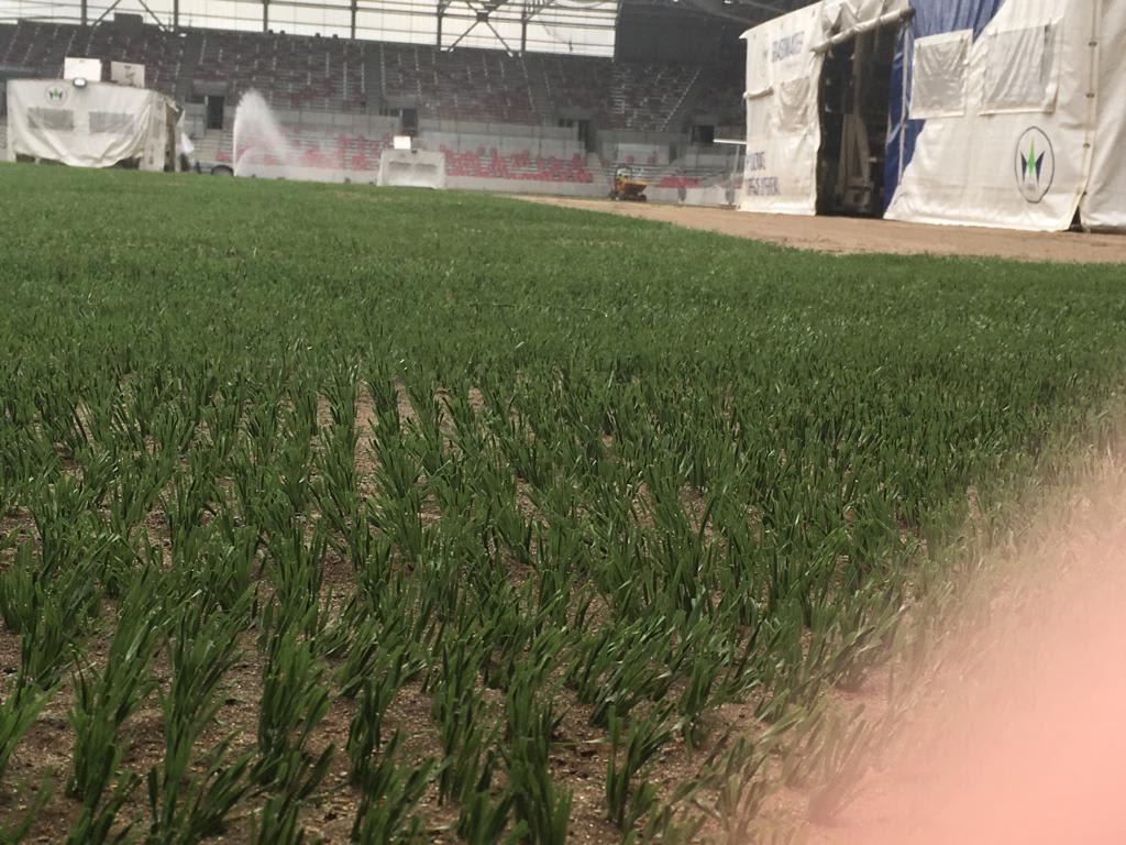https://www.brentfordfc.com/siteassets/images/community-stadium/20190831---pitch/photo-2019-08-29-09-35-18-4.jpg