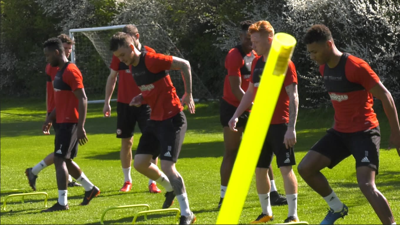 📹 Bees In Training: Pre QPR