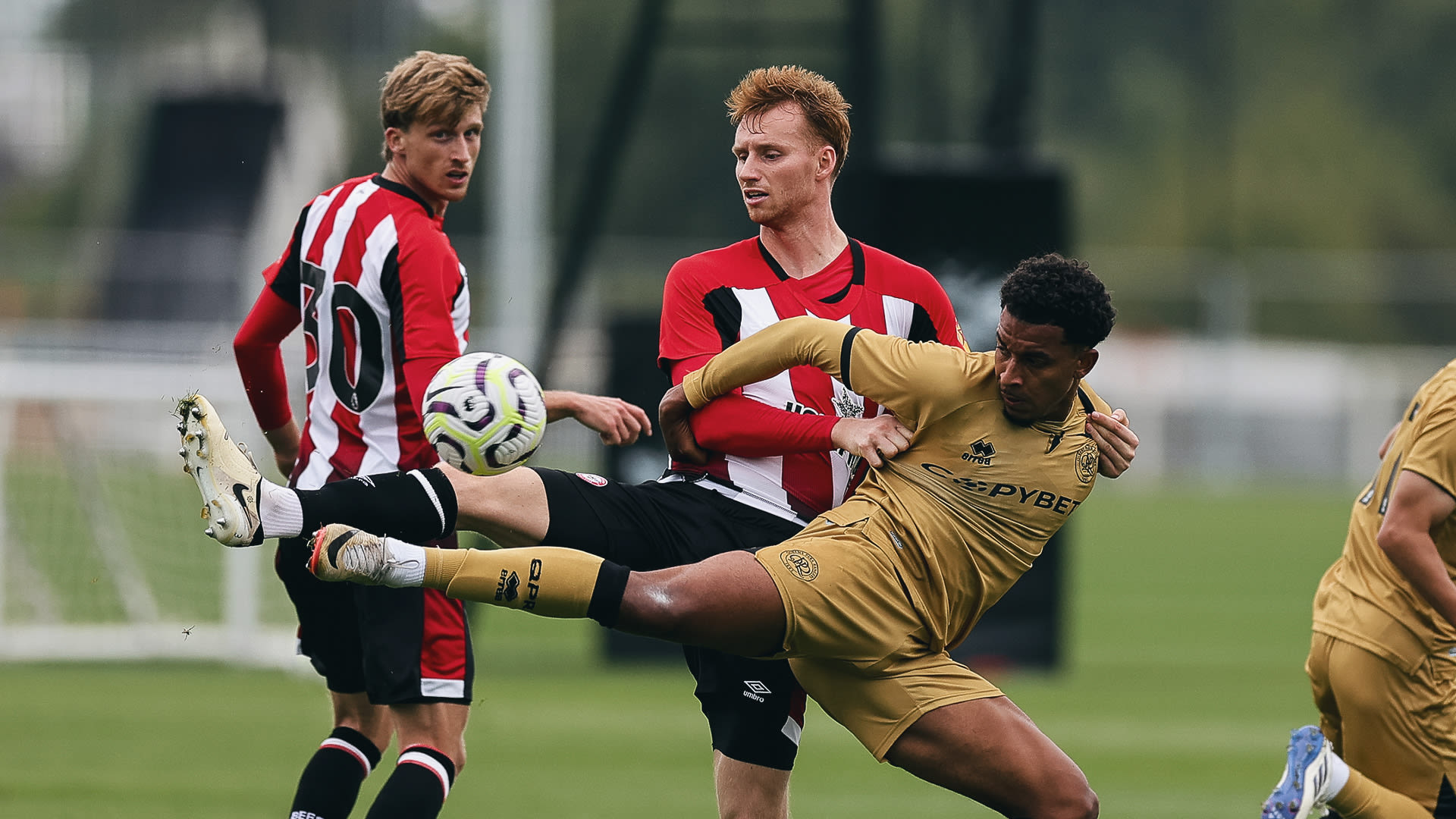 Van den Berg QPR