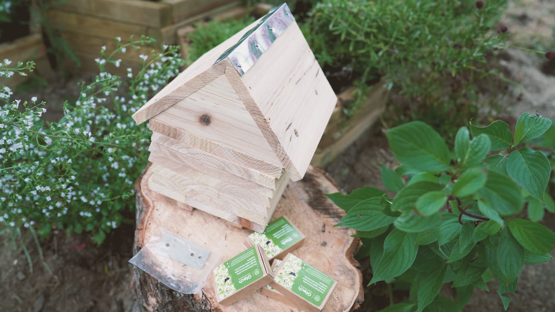 beehive_kszvym