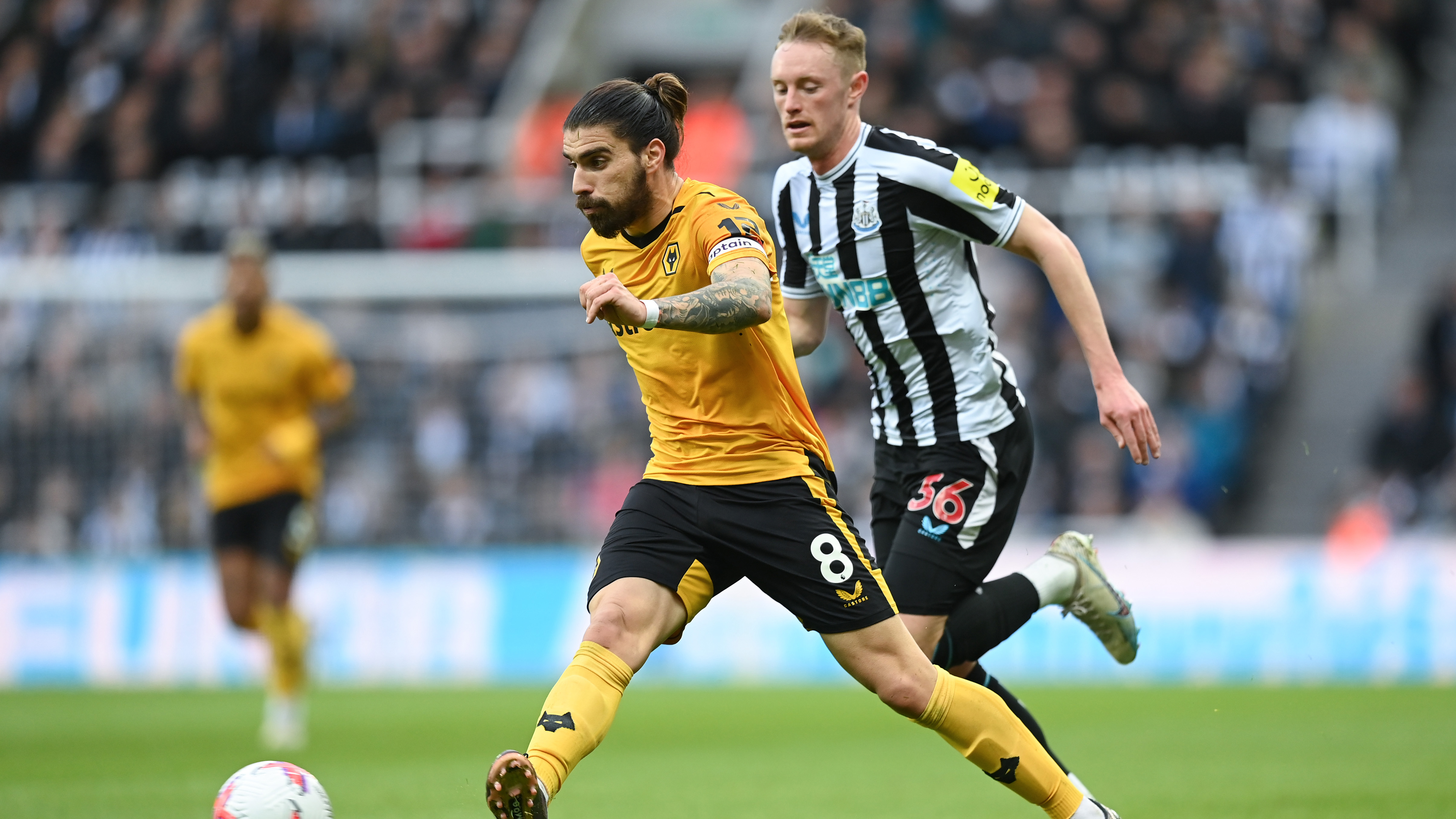 Prepared to take you on, Wolverhampton Wanderers analysed